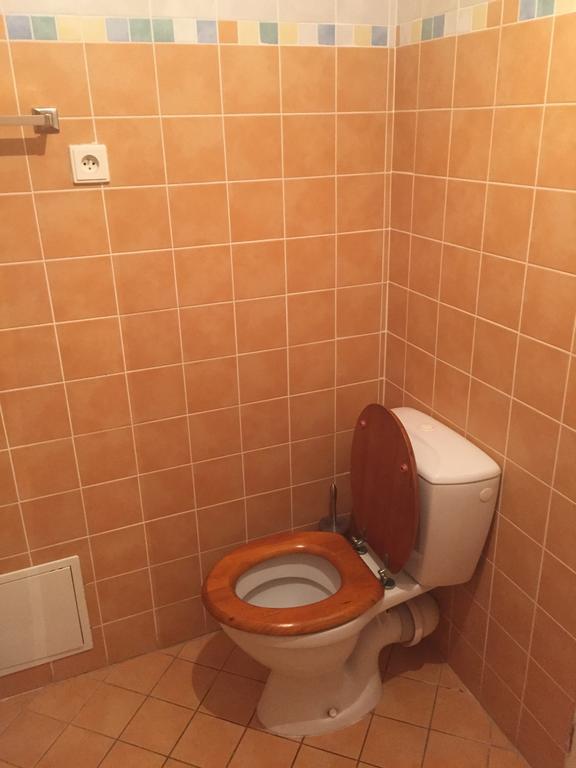Apartments At The Golden Plough Prague Chambre photo